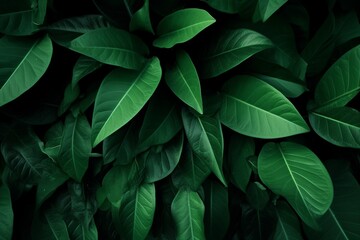 Green leaves pattern background, Natural background and wallpaper. generative ai.