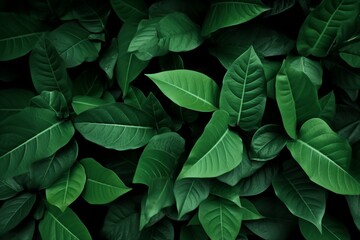 Fototapeta premium Green leaves pattern background, Natural background and wallpaper. generative ai.