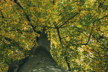 Herbst in Landsberg