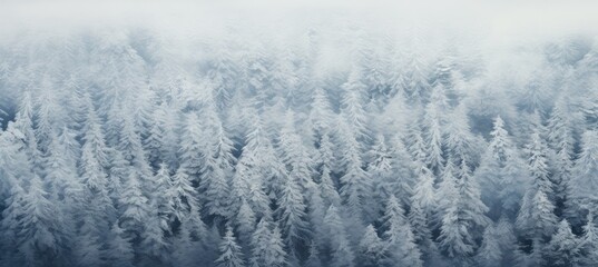 Panoramic view of an icy and snowy forest landscape in winter.