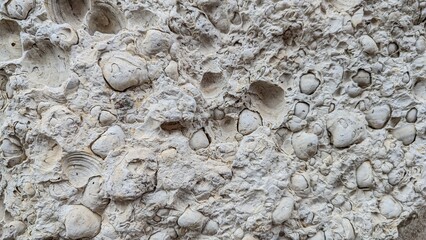 Texture of stone made of shells and sand, building material on the sea coast