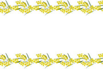 Australia flower yellow golden wattle (Acacia pycnantha Benth) Australia's national floral emblem background banner. Vector illustration - obrazy, fototapety, plakaty