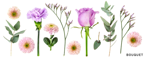 Bouquet lilac flowers flowers set. PNG with transparent background. Flat lay. Without shadow.