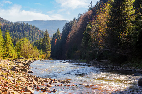 beautiful nature landscape of ukraine in autumn. forested countryside scenery of carpathian mountains with river