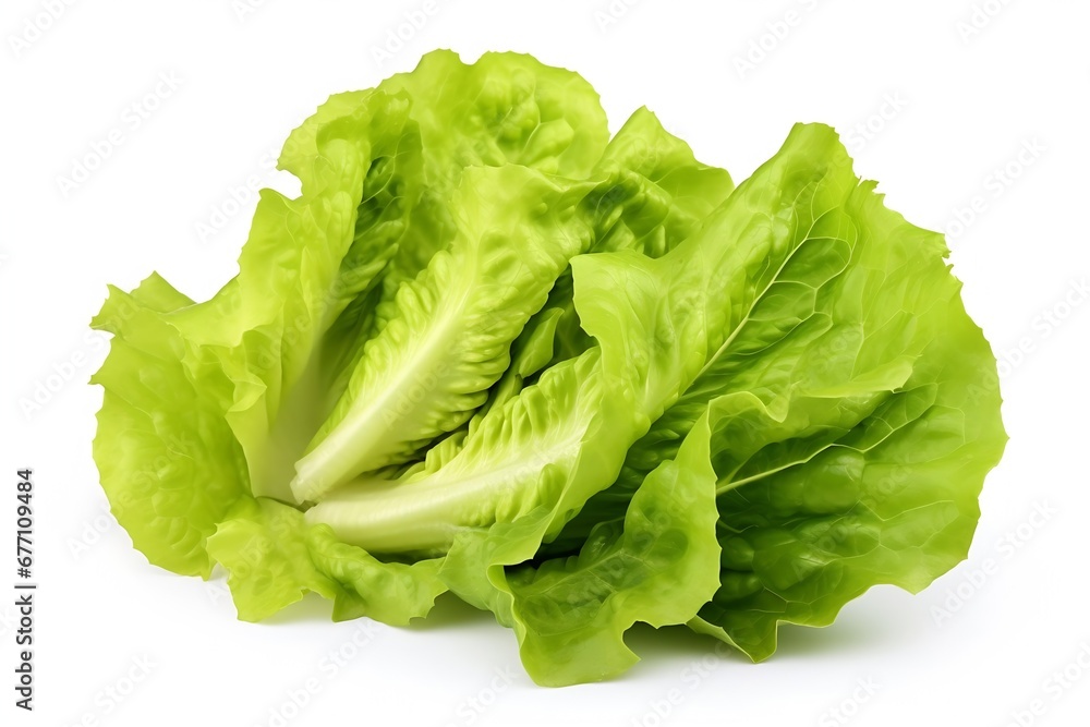 Aufkleber generative ai : fresh red and green lettuce isolated on white background.