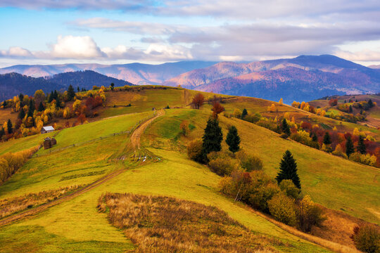 path through rolling hills of carpathian rural landscape in morning light. mountainous scenery in autumn