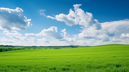 Fototapeta na wymiar Green scenic panorama natural green field and blue sky