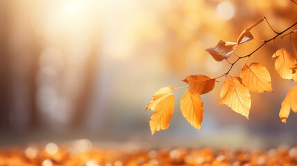 Naklejka na ściany i meble Beautiful autumn leaves golden against a blur background