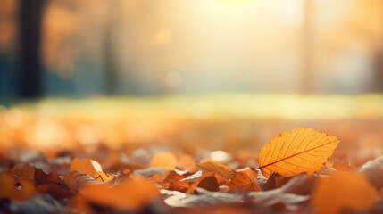 Naklejka na ściany i meble Defocused golden autumn leaves against a blur background