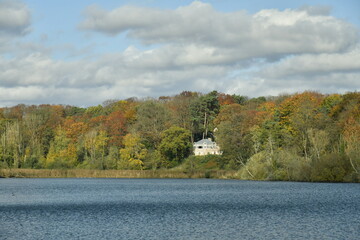 Dégradé de couleurs d'automne et de lumière au bout du Grand Etang à la Hulpe en Brabant Wallon 