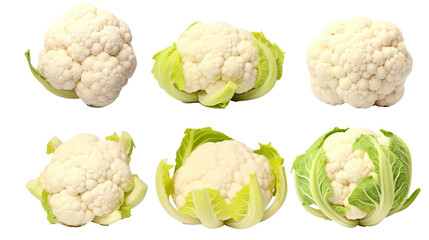 Obraz premium Set of cauliflower isolated on transparent background, image with background removed, created with Generative Ai technology.