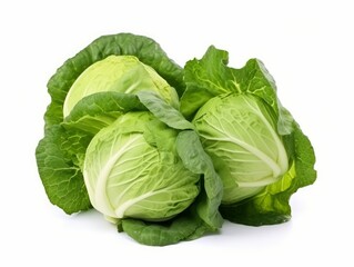 Fototapeta premium A bunch of cabbage fruits isolated on a white background