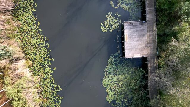 Aerial view of Acarlar floodplain