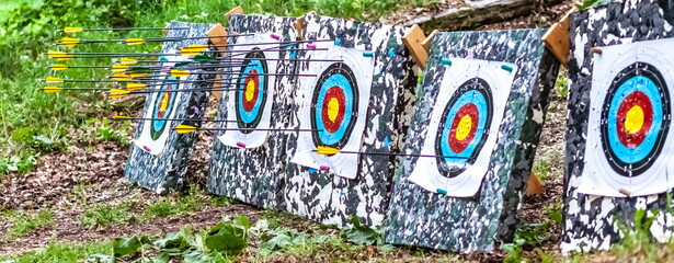 Targets with arrows fired from a bow close-up on a background of greenery in summer