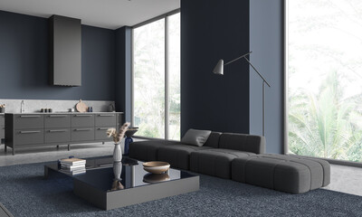 Blue living room and kitchen interior