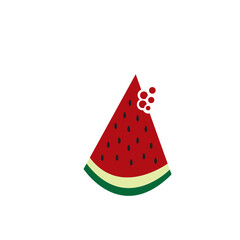 watermelon fruit logo icon design vector illustration