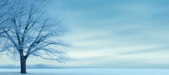 Frosted tree standing isolated in snow-covered tranquil landscape
