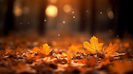 Orange maple leaves on the ground with a bokeh background
