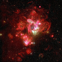N44 in the Large Magellanic Cloud - 677133249