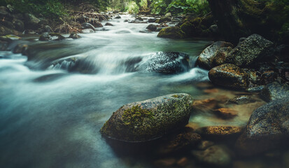Forest stream running over mossy rocks. Long exposure.