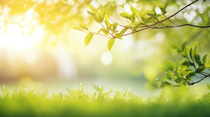 Obraz premium spring green background with twig and grass framing 