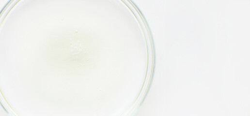 Petri dish with liquid and small bubbles on a light background