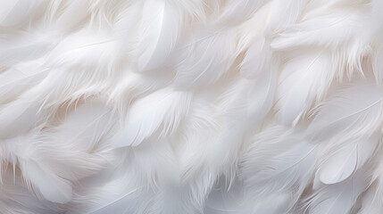 Obraz premium Background crafted from a delicate texture of white feathers, creating a soft and ethereal ambiance. Ai generated