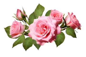 Tuinposter Pink rose flowers in a floral arrangement isolated on white or transparent background © Prasanth