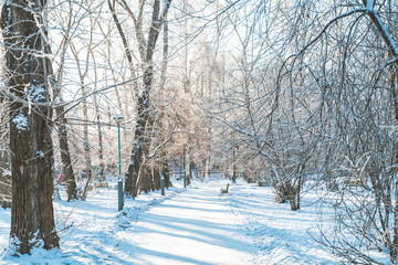 snow-covered city. a snowy alley