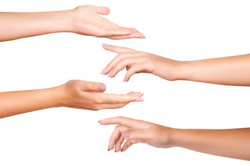 Women's hands. on isolated transparent background