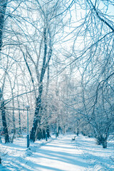 snow-covered city. a snowy alley