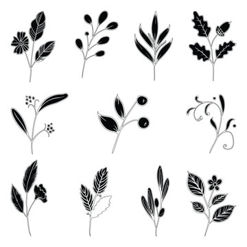 Hand drawing style of flower vector. It is suitable for plant and flower icon, sign or symbol.