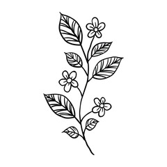 Hand drawing style of flower vector. It is suitable for plant and flower icon, sign or symbol.