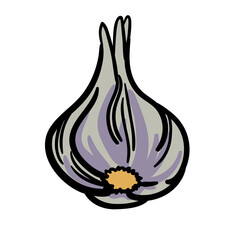 Garlic Bulb