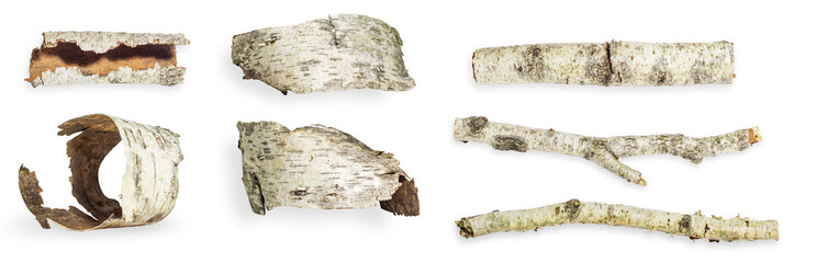 Set/set. different options and forms. Birch bark. Birch branches. On an empty background. PNG