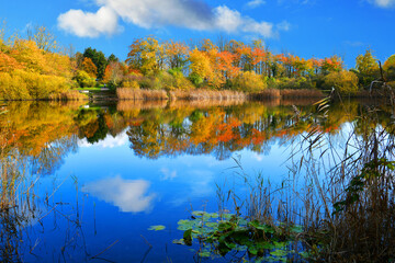 Autumn landscape with the colorful trees reflecting in a quiet lake.