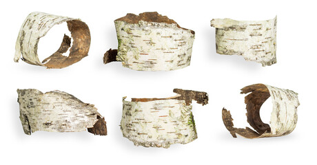 Set/set. different options and forms. Birch bark. On an empty background. PNG