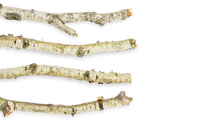 Set/set. Birch branch of a curved beautiful shape. On an empty background. PNG