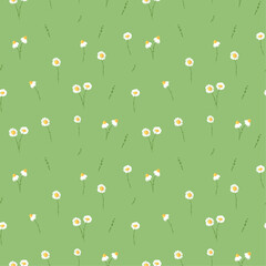 Seamless pattern with flowers chamomile, petals, on green background