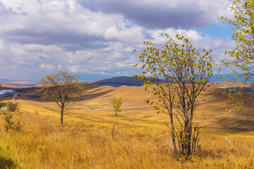 Landscape of the Georgian steppe Udabno in Georgia. Yellow-gold grass, wilde land and blue sky. Endless fields. Mountain in the background.