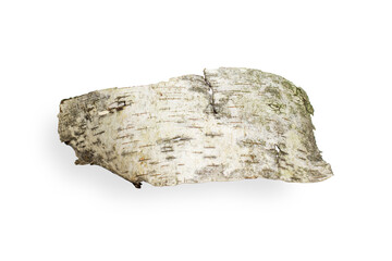 Birch bark is beautifully shaped. On an empty background. PNG