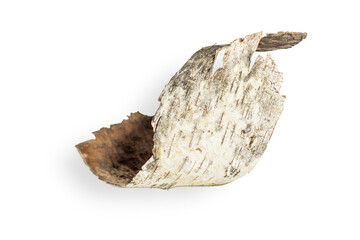 Birch bark is beautifully shaped. On an empty background. PNG