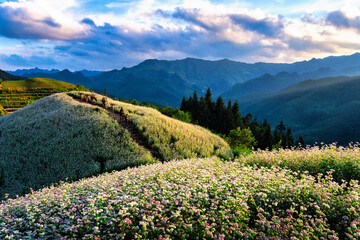 World natural heritage, Trang An, Ninh Binh