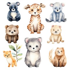 collection of animals