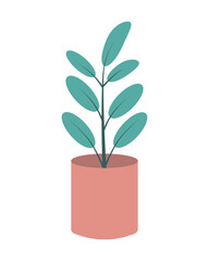 Vector illustration House plant ficus in pink pot isolated on white background