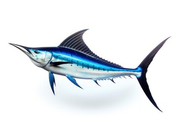 Fototapeta premium Blue Marlin Makaira Nigricans fish isolated on white background