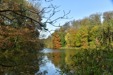 La beauté de l'automne de la forêt entourant l'étang de la Longue Queue au domaine du château de la Hulpe 
