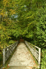 Le pont en rocaille rustique traversant un petit ravin sous la v&eacute;g&eacute;tation luxuriante de la for&ecirc;t au domaine du ch&acirc;teau de la Hulpe 