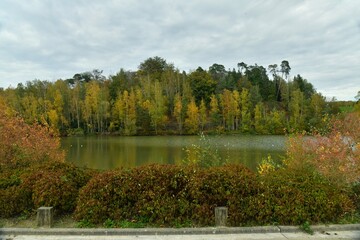 Fototapeta premium La végétation bucolique d'automne d'une forêt dense sous un ciel gris au domaine du château de la Hulpe 