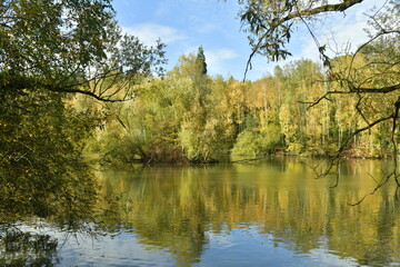 Fototapeta na wymiar La végétation sauvage et bucolique d'automne se reflétant dans les eaux de l'étang au domaine du château de la Hulpe 